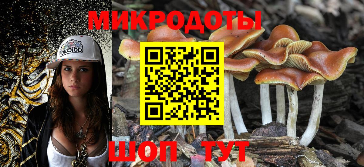 Новосибирск  как найти   Вход с VPN  Галлюциногенные грибы Cubensis 
